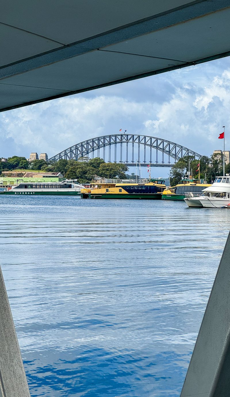 Sydney Harbour Bridge framed view from Darling Point