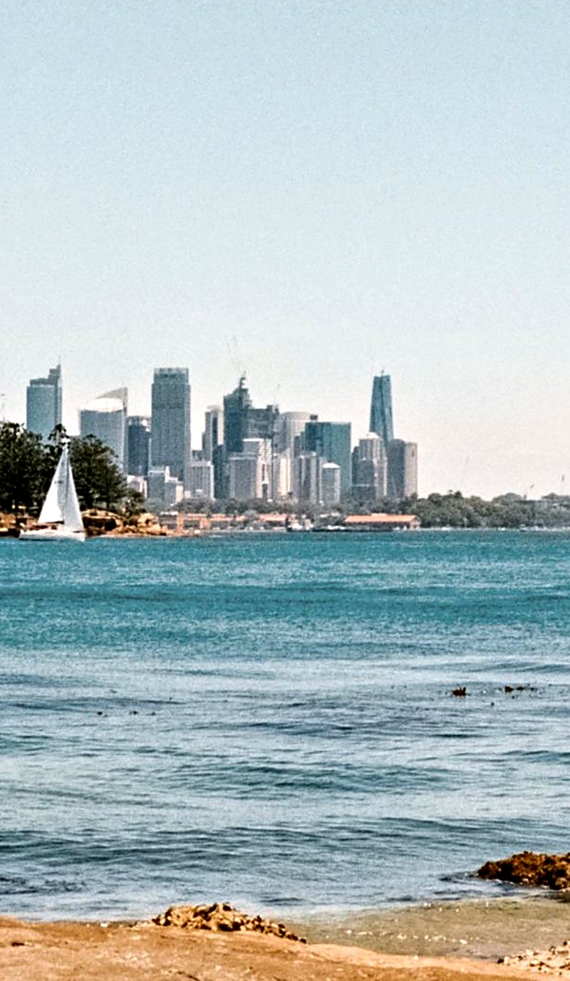 Sydney Harbour and city skyline viewed from Rushcutters Bay foreshore
