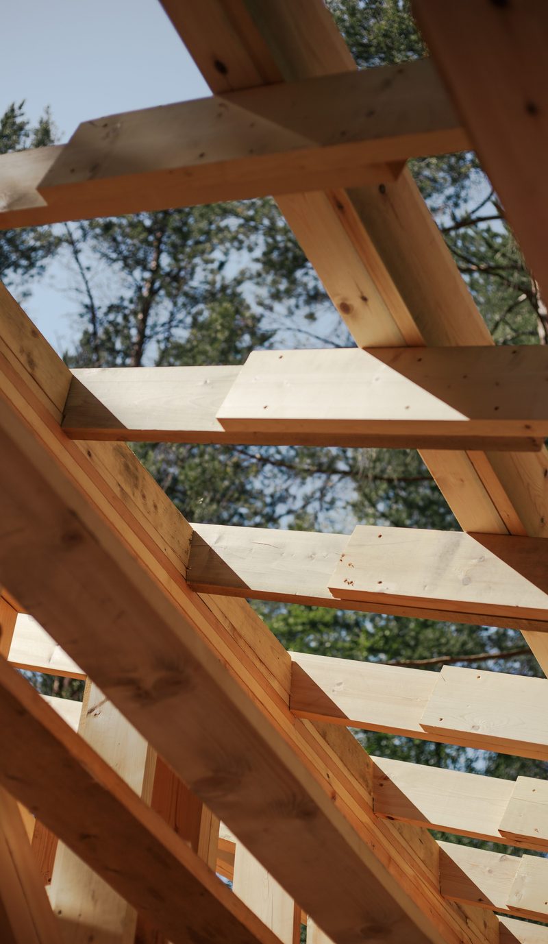 New timber roof framing and rafters on a house under construction, with trees and blue sky behind